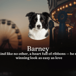 Barney