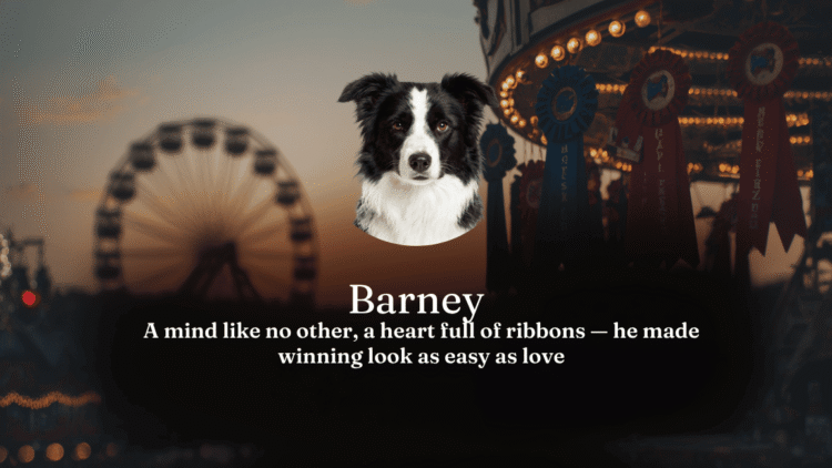 Barney