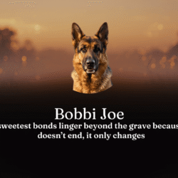 Bobbi Jo