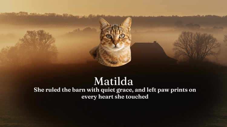 Matilda